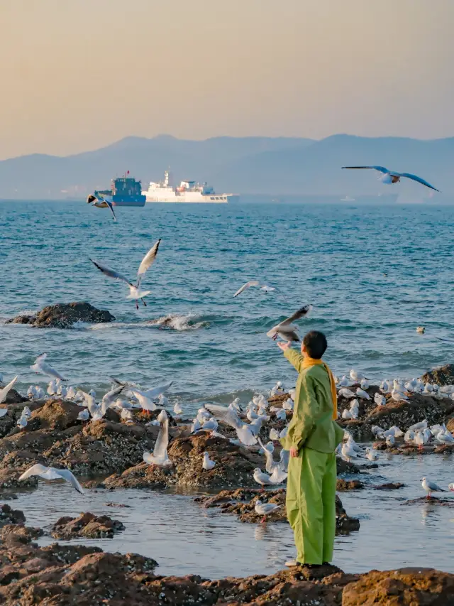 I declare! Qingdao is the most beautiful seaside city in China from now on~