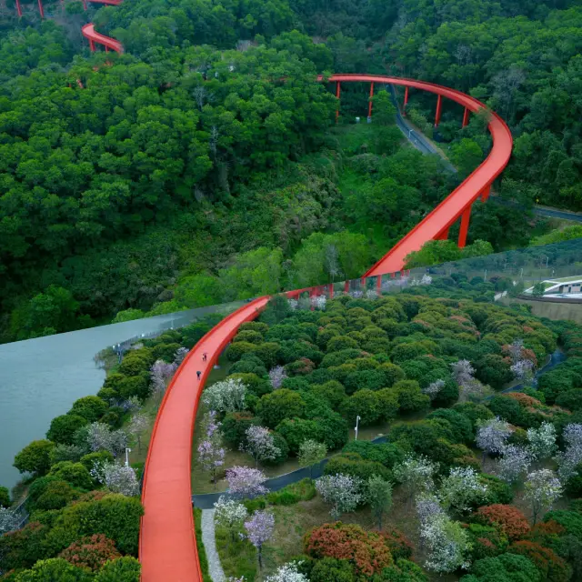 This is the most comfortable hiking route I have walked in Shenzhen