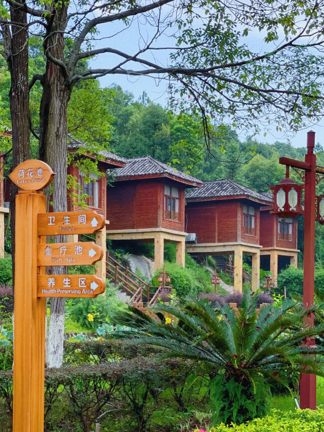 冬季泡湯·客家生態·葉園溫泉