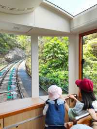 香港親子遊 太平山纜車俯瞰維多利亞美景