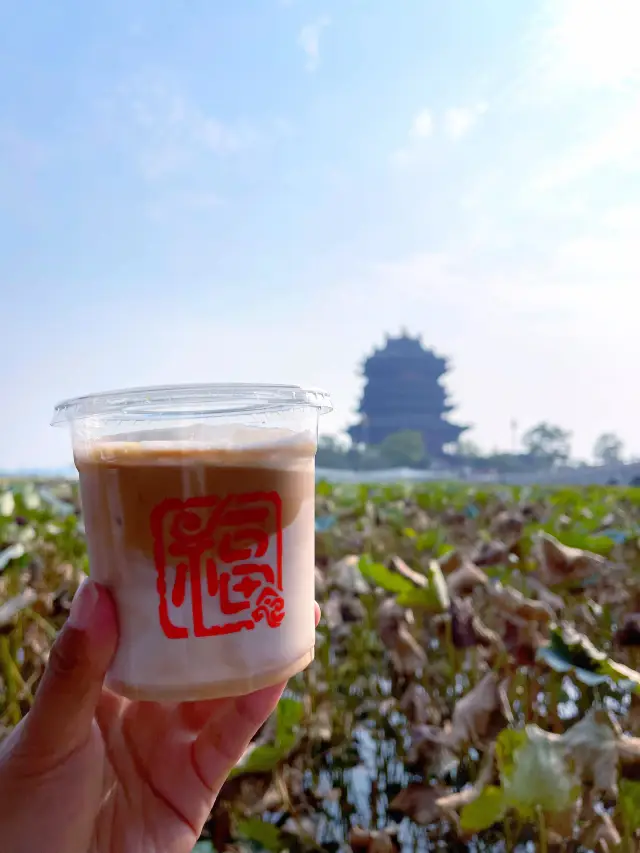 Yangcheng Lake Self-Drive One-Day Tour Guide, the lake view is super beautiful and pet-friendly!