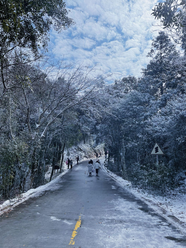 踏雪九仙山｜福建德化兩天一夜自駕遊