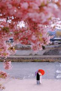 京都櫻花季將至，這家酒店值得推薦