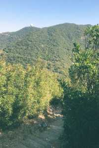 渣甸山及畢拿山・大潭水塘、紅屋半日遊