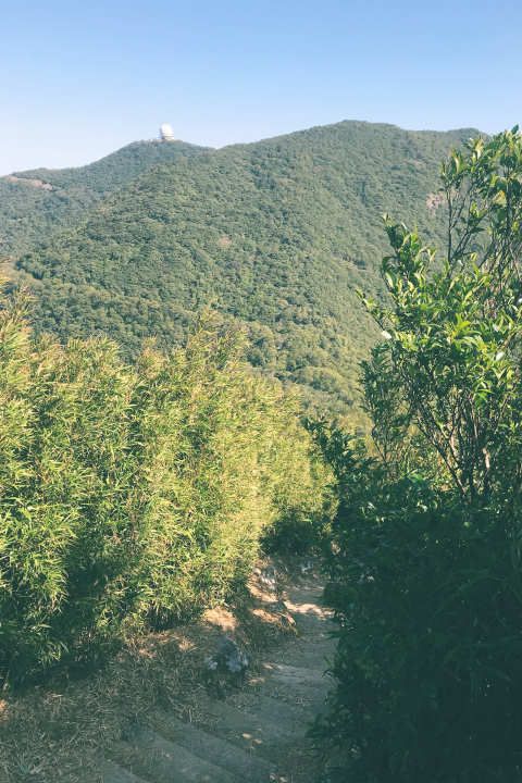 渣甸山及畢拿山・大潭水塘、紅屋半日遊