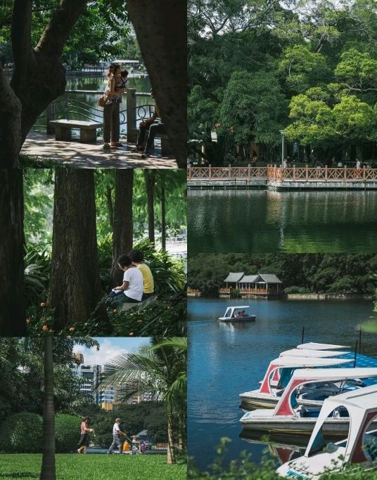Liuhua Lake Park really win Heart 🇨🇳
