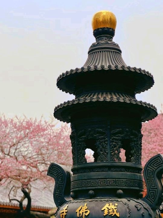 Beautiful Temple Surrounded by 🌸Blossoms🌸 