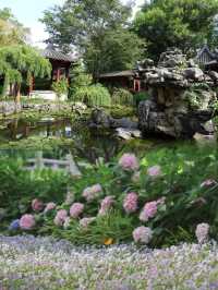未到林園，春色何處可知否