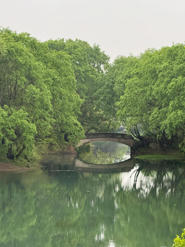 走進無錫貢湖灣濕地公園，感受原始森林之美