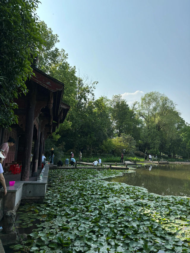 璧山秀湖公園｜常來常新的一個自然系公園