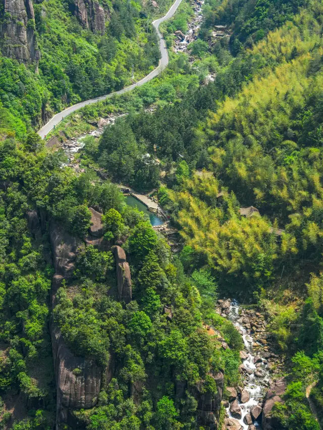 これは新疆ではなく、丽水の天然のマイナーなハイキングと登山の酸素バーです