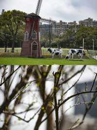 上海大寧公園