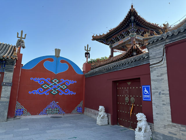 春回大召，陽光正好