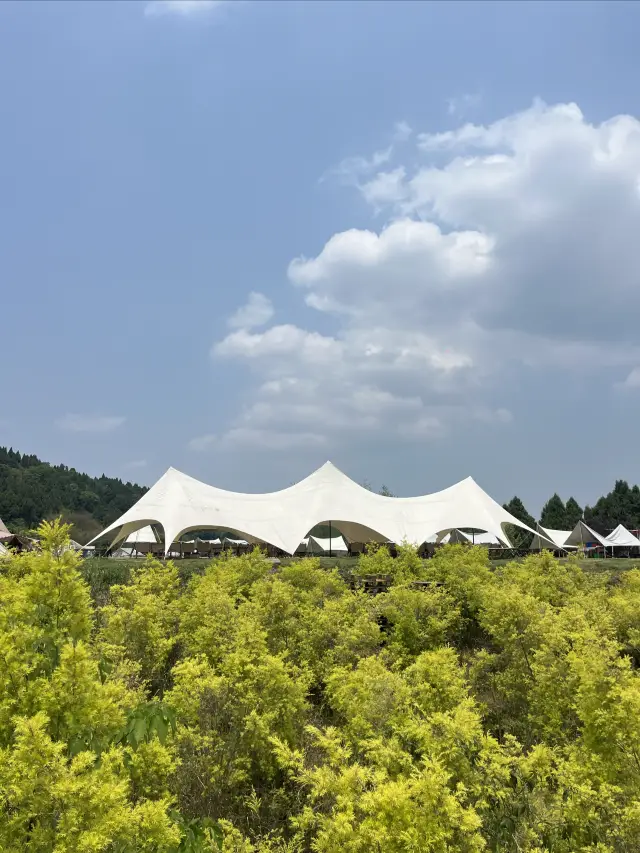 금룡장성 티켓 할인, 운영 시간, 후기 [2025년] | Trip.com