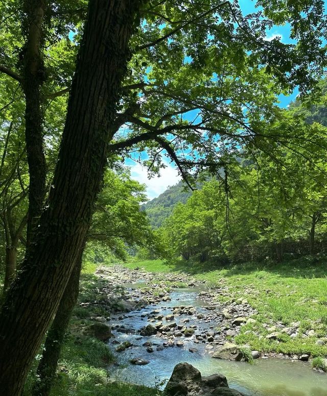新昌美景