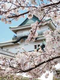 大阪出發和歌山一日遊，路線推薦~收藏。