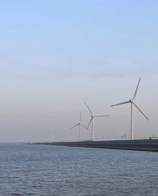 周邊遊｜長興島海岸線，觀天橋風車與抓螃蟹