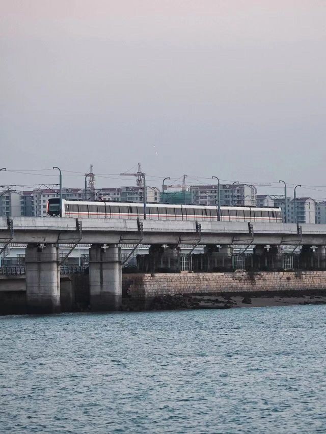 廈門|當地人認證的集美學村一日遊路線。