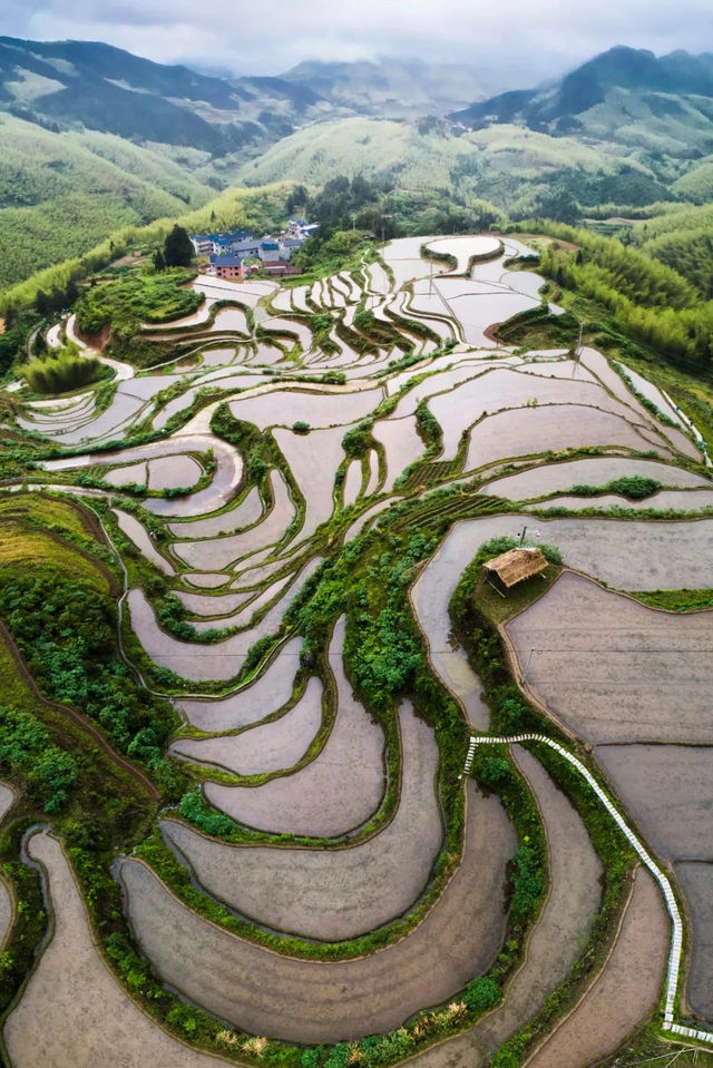 原來遂昌這麼美，遂昌梯田在不同的季節裡變幻出不同的景象