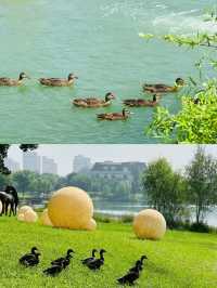 河北·廊坊固安大湖公園