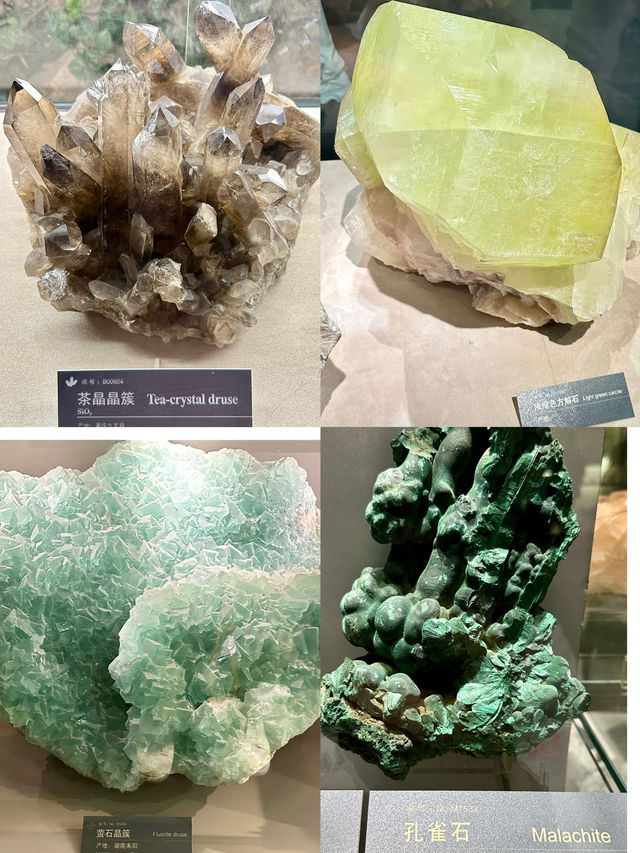 眼花繚亂，地質博物館長見識