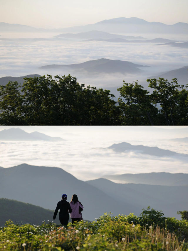 吉林旅行新去處萬科松花湖度假