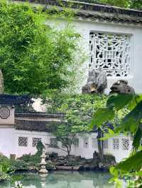 拙政園｜沒看過這篇攻略，一定不要來拙政園