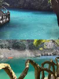 堯治河｜探尋秘境森林，湖北小九寨
