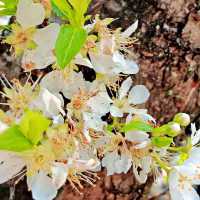 【8月好去處】游清遠水浪花谷，如入仙境