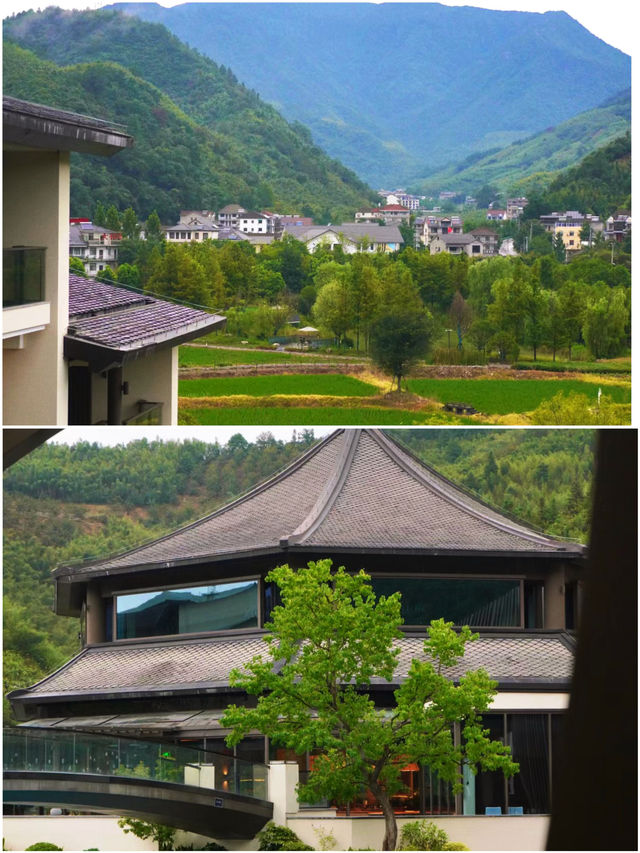 【不是國外，是臨安！解鎖臨安8月全攻略】