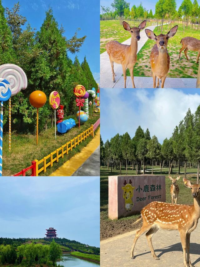 在鄭州！伏羲山雲上牧場一日遊 ！