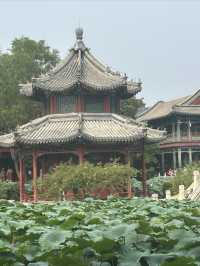 保定:古蓮花池