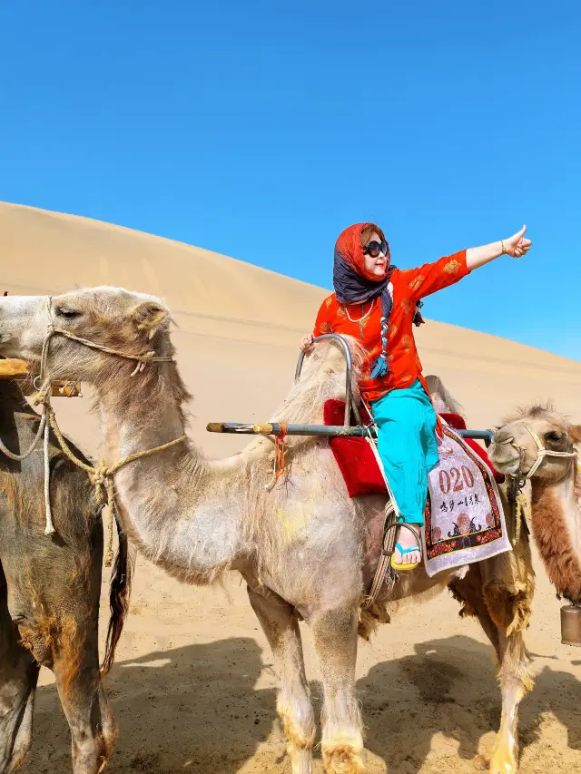Dunhuang Camels Treading the Silk Road (Including Camel Riding Guide)