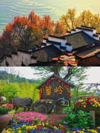 晒秋進行時來婺源篁嶺、住進崖上古村