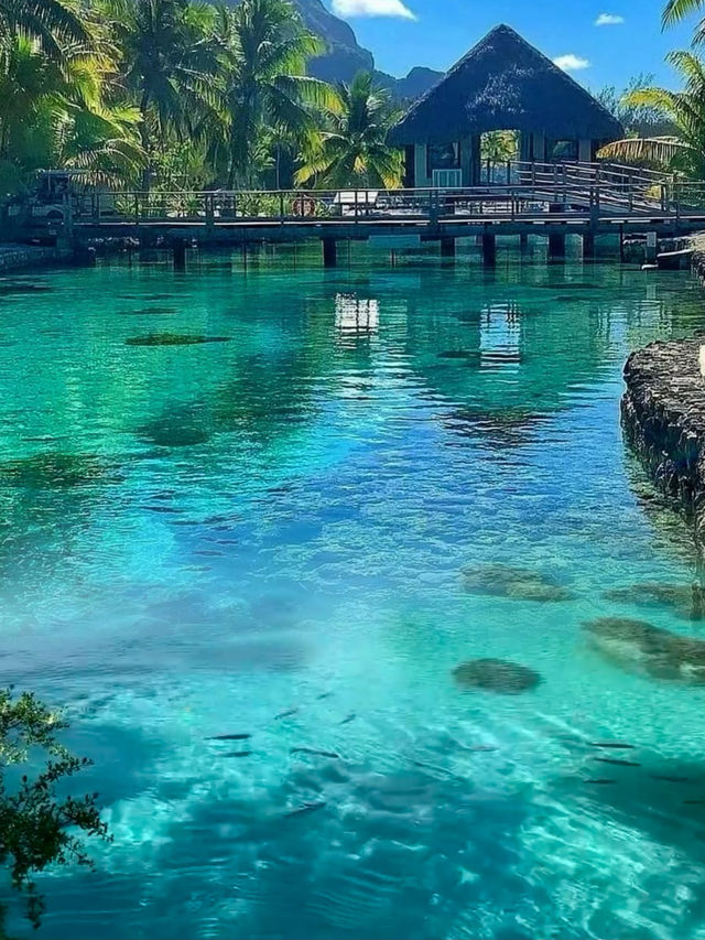 大溪地秘境之旅，波拉波拉島的夢幻打卡全攻略