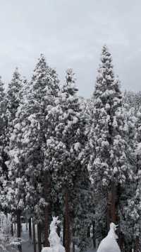 里山十帖：位於新潟雪國的私密藝術旅店，四季分明的視覺與味覺盛宴。
