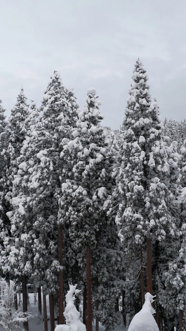 里山十帖：位於新潟雪國的私密藝術旅店，四季分明的視覺與味覺盛宴。