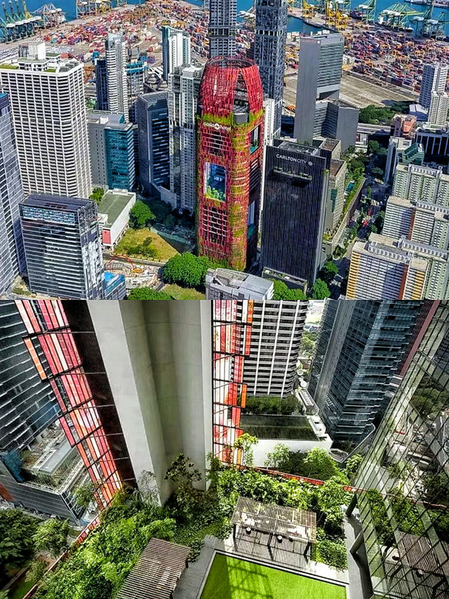 穿着「綠絨衣」的酒店在綠植的包圍中甦醒。