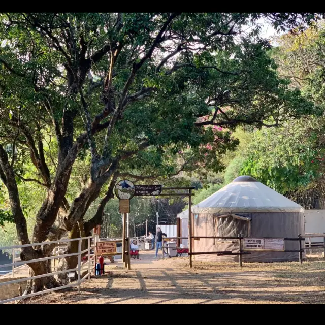 Camping in Hongkong farm