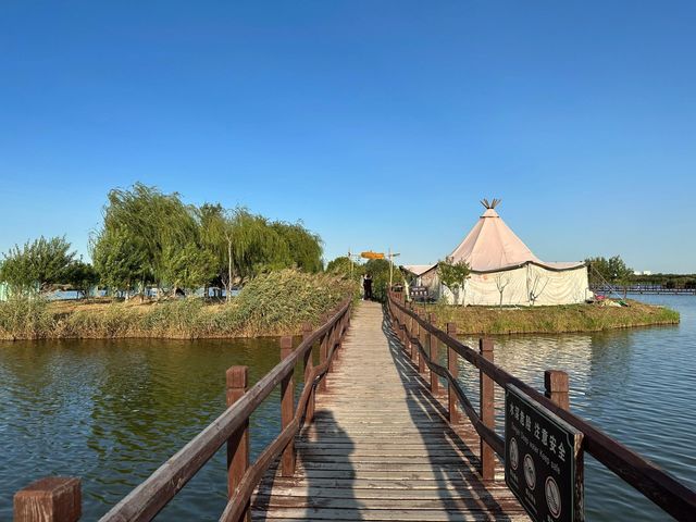 天津西青郊野公園 | 搭帳篷釣螃蟹。