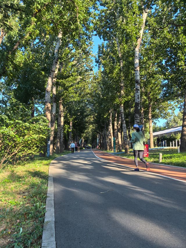 北京市龍潭中湖公園遊玩指南。