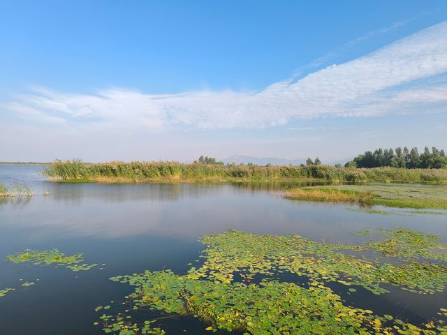 泰安東平湖。