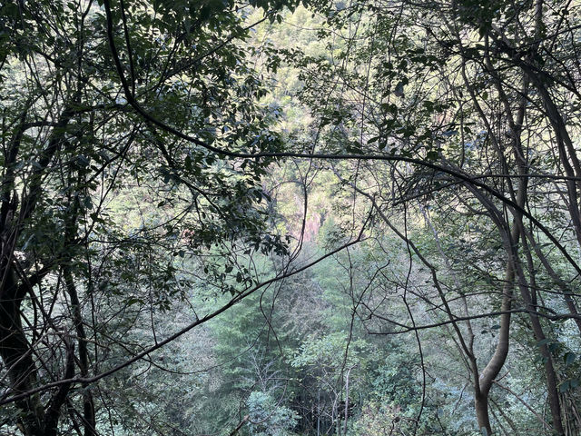 磐安｜十八漩。