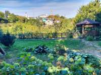 弗拉基米爾主教花園：城市綠洲。
