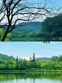 隱藏在佛山南海的「世外桃源」。