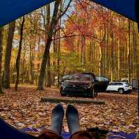 Color falls in chengdu outdoor activities 