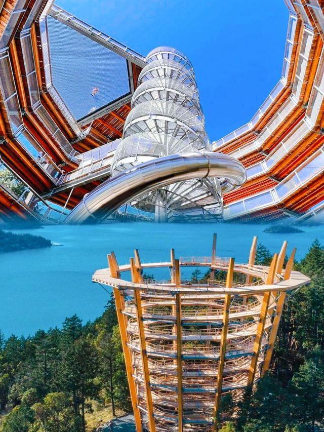 連一秒都不想浪費的｜維多利亞｜。