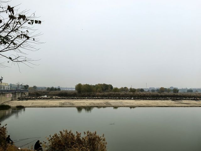 滹沱河生態濕地（城區段）-滹沱濕地。