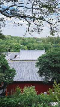 禪之行｜當陽玉泉寺。