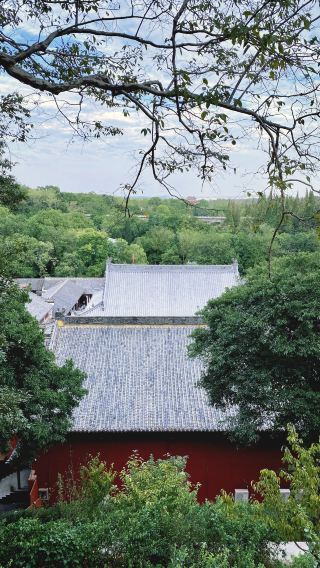禪之行｜當陽玉泉寺。